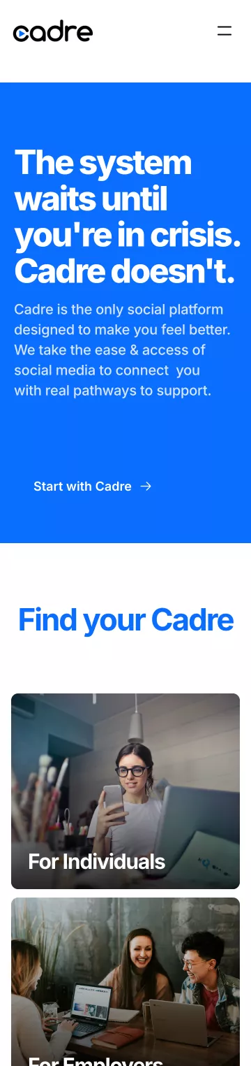 Cadre professional mental health networking platform overview